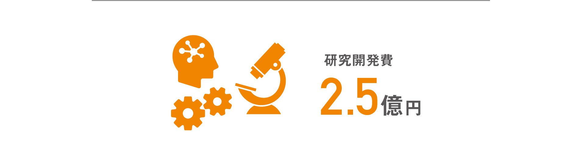 研究開発費2.5億円