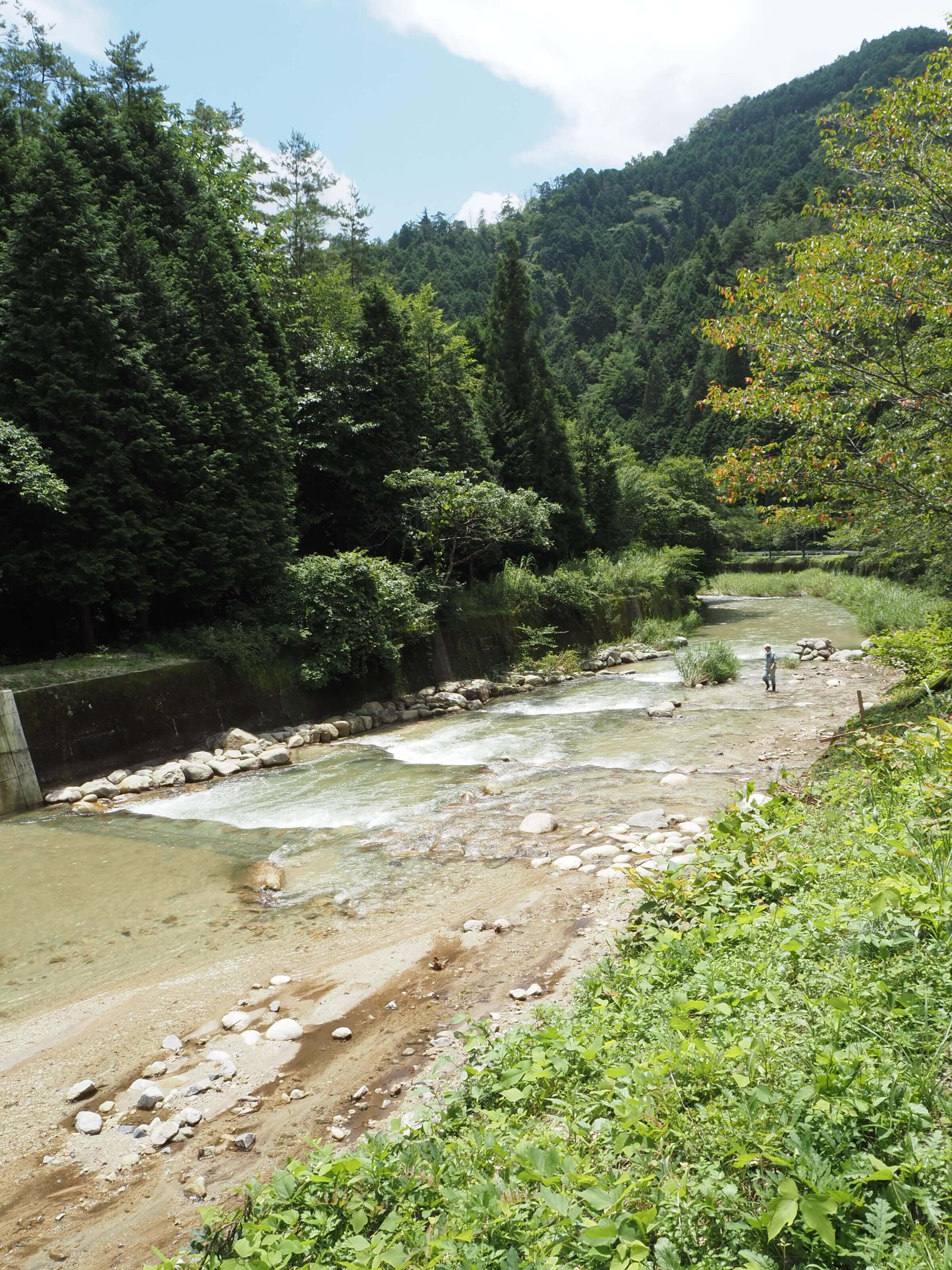 阿妻川（愛知県）における多自然川づくり
